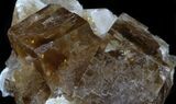 Cubic, Honey-Brown Fluorite - White Rock Quarry, Ohio #34305-3